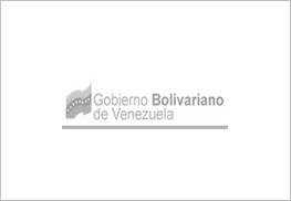 gobierno bolivariano